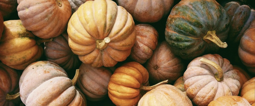 Moestuintips: dit kun je doen in oktober