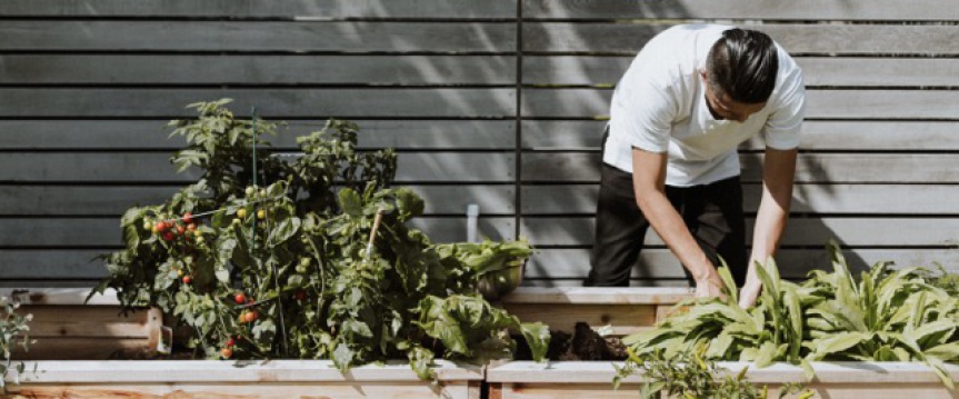 Moestuinweetjes: van lege eierdozen tot eigen gebrouwen insectenbestrijders