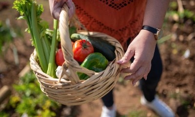 Groente en fruit zo lang mogelijk bewaren, hoe doe je dat?