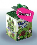 Greengift Klavertje Vier met label SUCCES