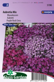 Blauwkussen Aubretia Mix