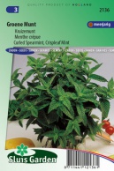 Groene Munt / Kruizemunt (Mentha spicata crispa)