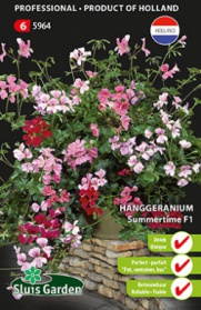 Hanggeranium Summertime F1