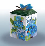 Greengift Vergeet me niet