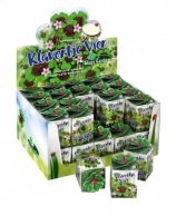 Greengift, Klavertje-vier 40 stuks in showdoos