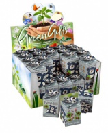 Greengift, Happy-Bear blauw 40 stuks in showdoos