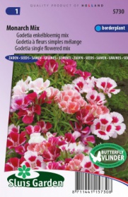 Godetia Monarch Mix, enkelbloemig