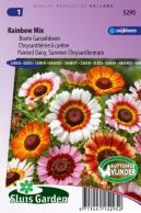 Margriet Rainbow Mixed (Bonte Ganzebloem)