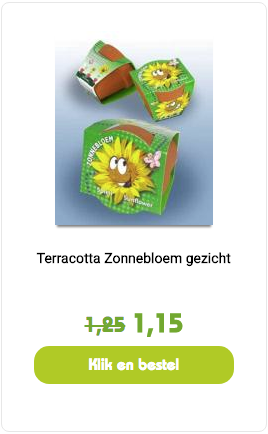 terracotta zonnebloem gezicht